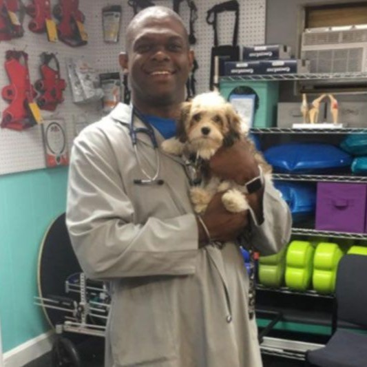 Dexter Archer - Veterinary Practice Owner - Shirley Veterinary Hospital |  LinkedIn