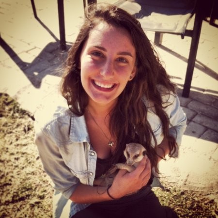 Emily Begin - Veterinary Assistant - Levittown Animal Hospital | LinkedIn