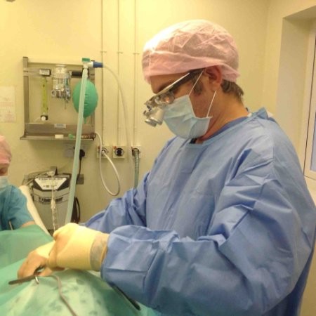 Colin Whiting - Advanced Practitioner in Small Animal Surgery, Director,  VetCW Lt - VetCW Ltd | LinkedIn