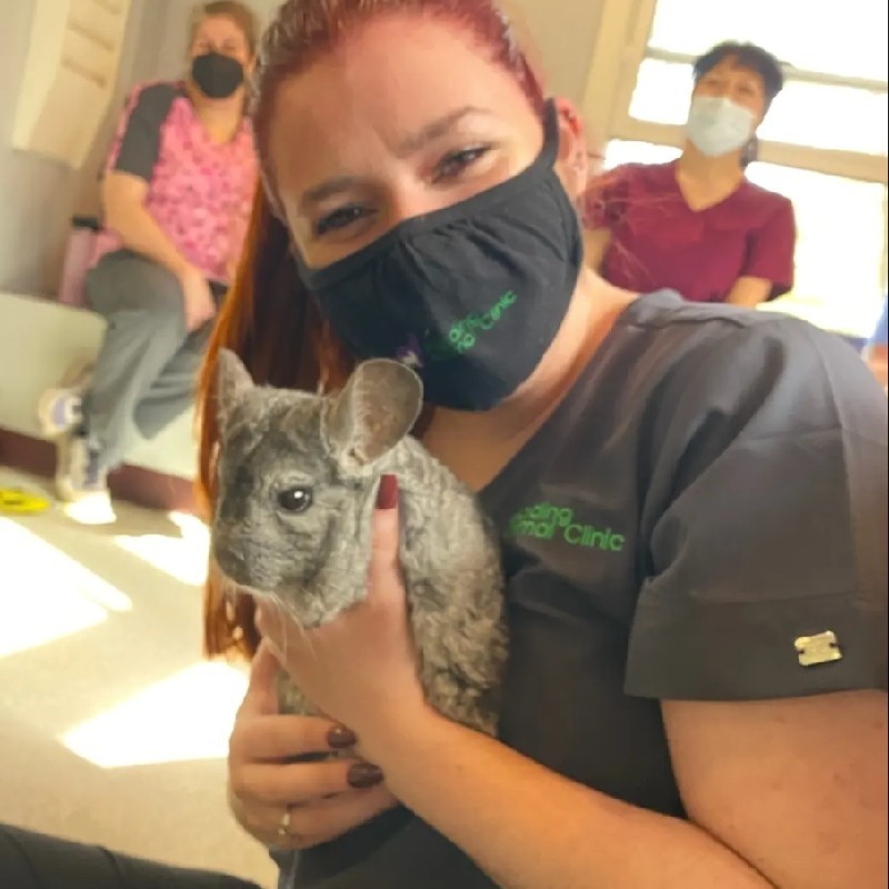 Marissa LeBlanc - Clinical Pharmacy Coordinator - Reading Animal Clinic |  LinkedIn