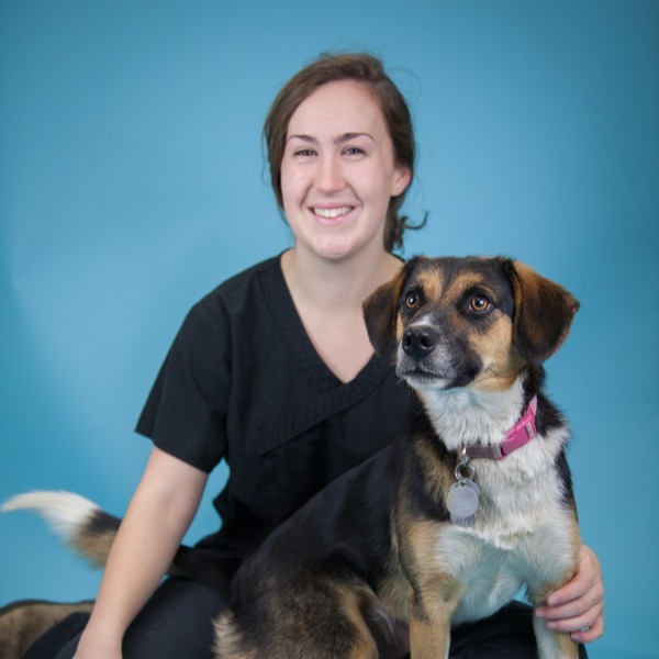 Madelaine Petrie - Veterinary Assistant/Client Services - Graham Animal  Hospital | LinkedIn