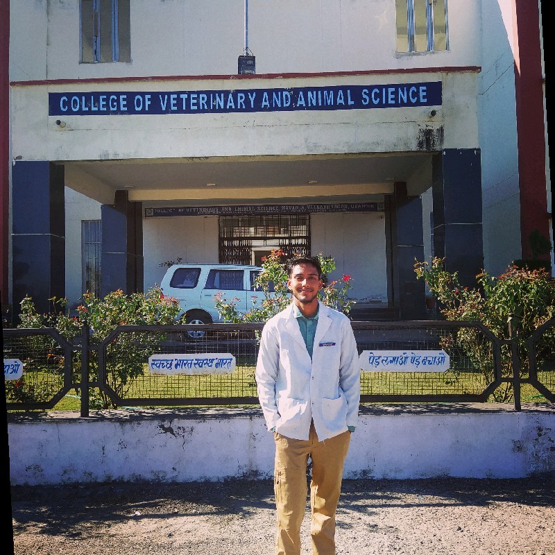 Prajapat - Veterinary Officer - Animal husbandry department  Rajasthan | LinkedIn