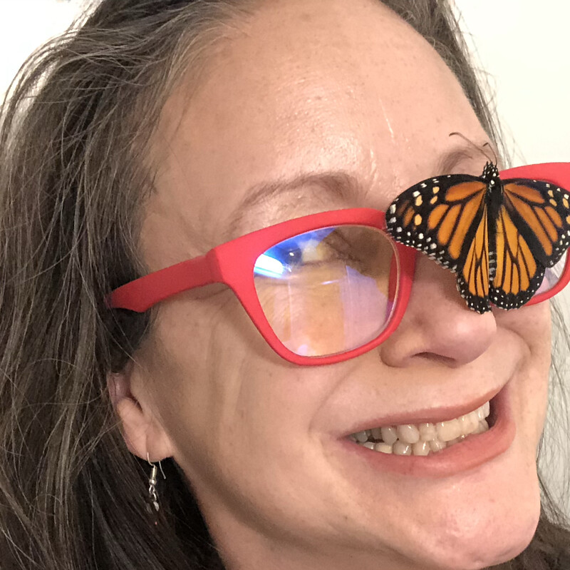 Diane Eleanore Rose - Monarch Butterfly Wrangler - California Monarch  Society | LinkedIn