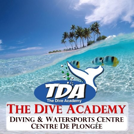Incentivo cruzar Predicar The Dive Academy Las Terrenas - Dive Center - The Dive Academy Las Terrenas  | LinkedIn