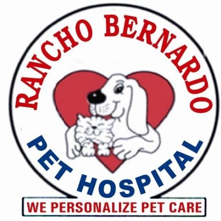 Rancho Bernardo Pet Hospital - Veterinarian - Rancho Bernardo Pet Hospital  | LinkedIn