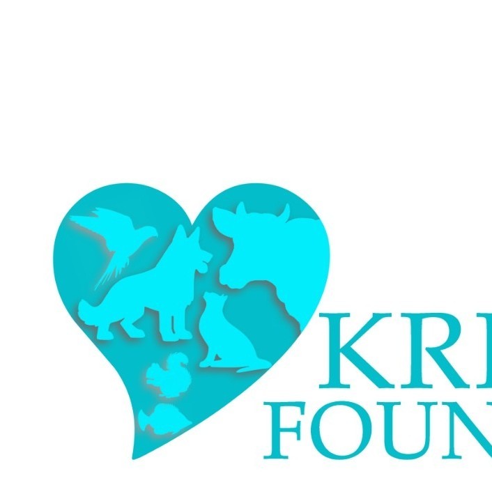 krishiv foundation - Director of M&A - animal welfare NGO | LinkedIn