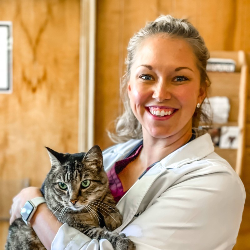 Erin Kirkpatrick - Company Owner - BERRY HILL ANIMAL HOSPITAL, PLLC |  LinkedIn