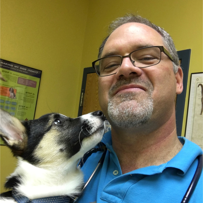 Michael Siggers DVM - Chief of Staff - Cottner Creek Pet Clinic | LinkedIn
