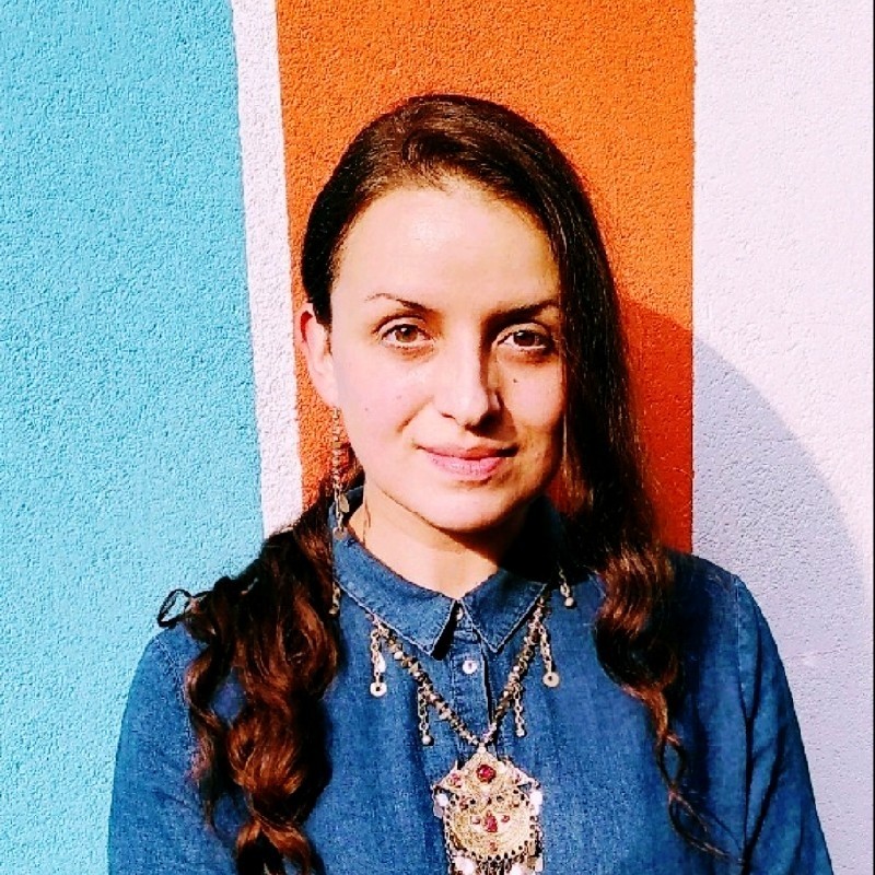 Elena Nardi | LinkedIn