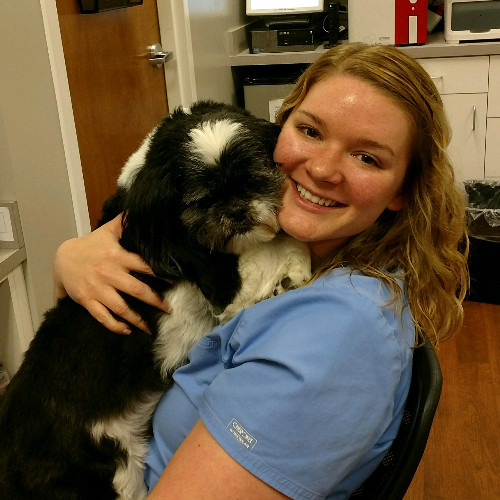 Jennie Carbone - Lead Veterinary Technician - Rutland Animal Hospital |  LinkedIn