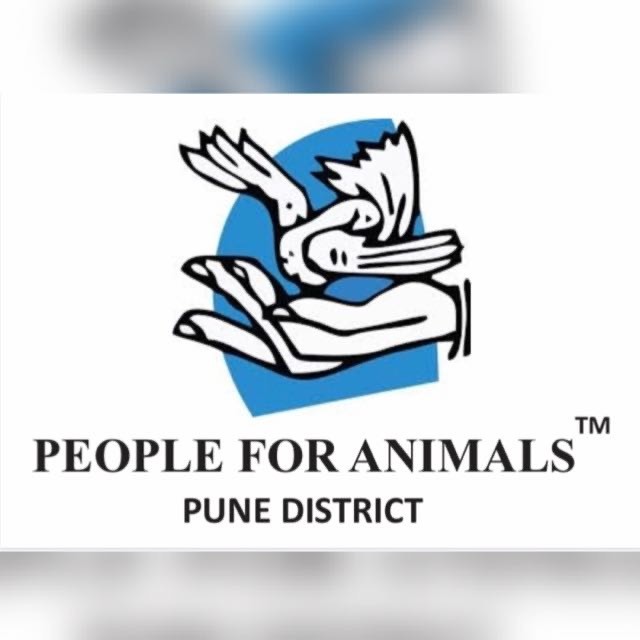 PFA (People for Animals) Pune District - PFA Pune - People For Animals  India | LinkedIn