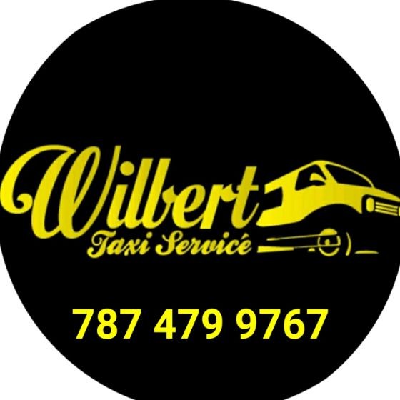 Wilbert Cruz  - Wilbert Taxi Service in San Juan Puerto  Rico | LinkedIn
