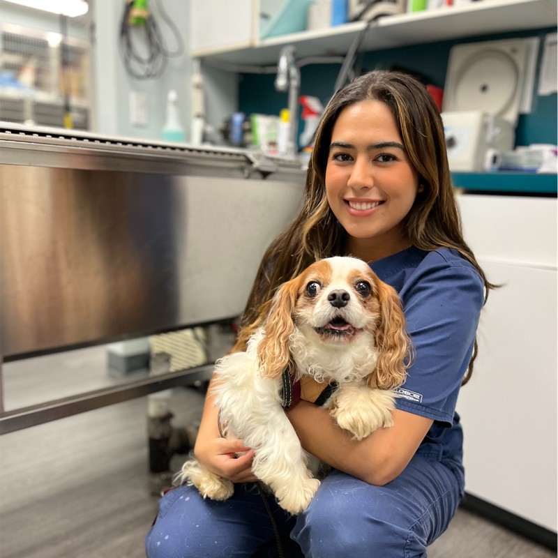 Megan Glenn - Social Media Manager & Veterinary Assistant - Levittown  Animal Hospital | LinkedIn