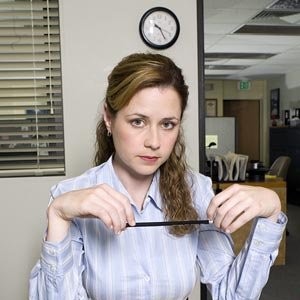 Pam Beesly - Mountain View, California, United States, Professional  Profile