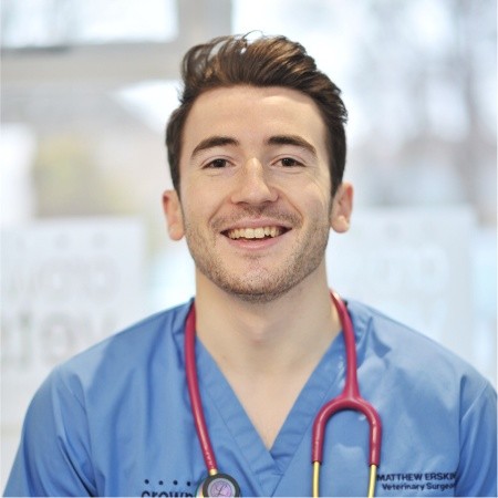Matthew Erskine - Clinician in Surgery - Small Animal Hospital Glasgow |  LinkedIn