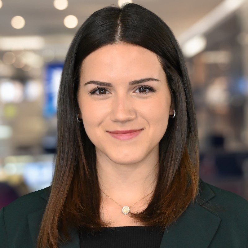Amanda Pinto - Accounting Analyst - DataONE Systems | LinkedIn