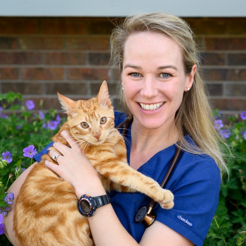 Allison Brekke - Owner - Crossroads Animal Hospital | LinkedIn