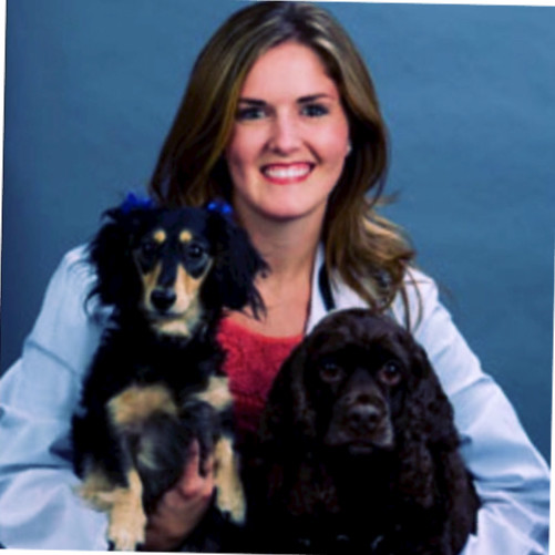 Danielle Grigsby - Veterinarian owner - Fairview Animal Clinic | LinkedIn