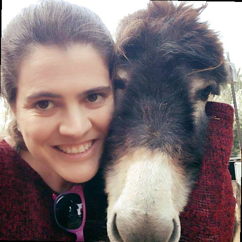 Reut Horn - Executive Director - Animals Now (formerly Anonymous for Animal  Rights) | LinkedIn