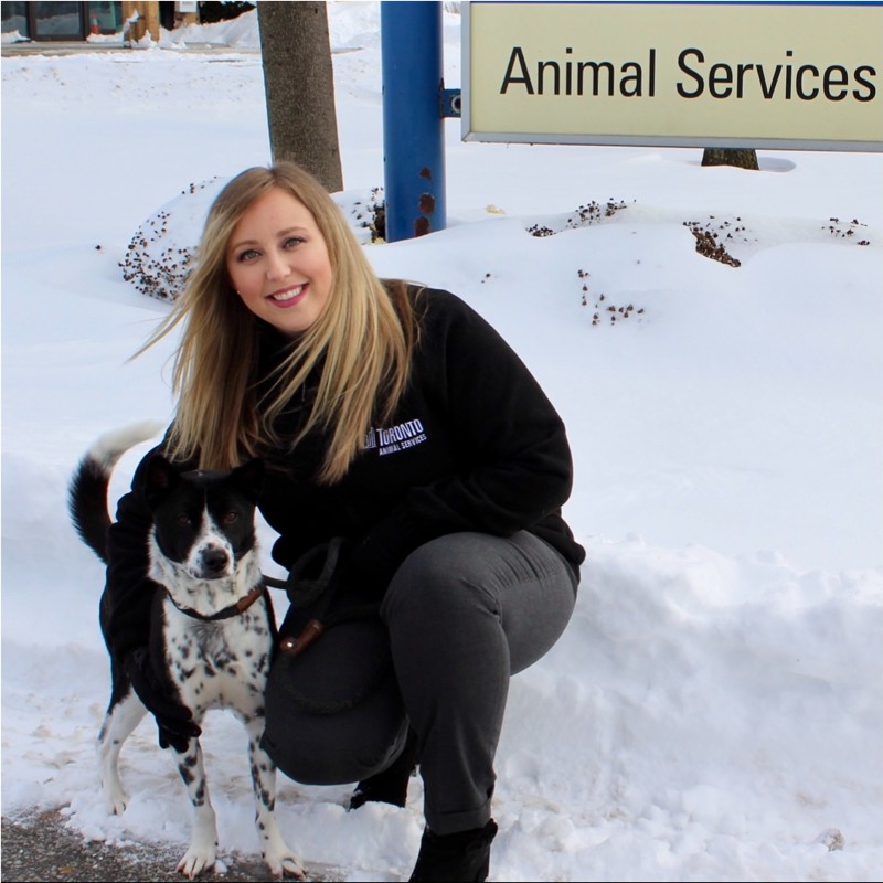 Farrah Zorowski - Program Manager, Toronto Animal Services - City of Toronto  | LinkedIn