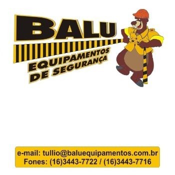 Balu Equipamentos - Ribeirão Preto, São Paulo, Brasil, Perfil profissional