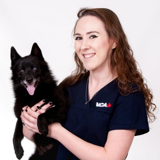 Kristen McDonald - Client Care Specialist - VCA Canada Blue Cross Animal  Hospital | LinkedIn