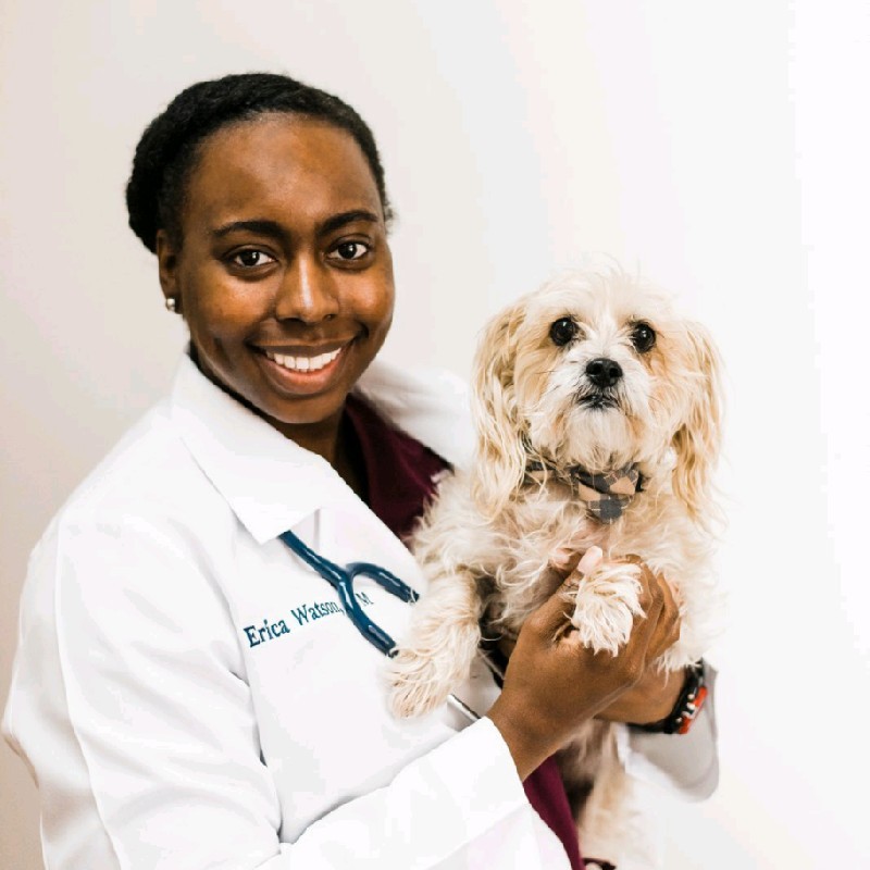 Erica Watson, . - Associate Veterinarian - Animal Hospital of Rowlett  | LinkedIn