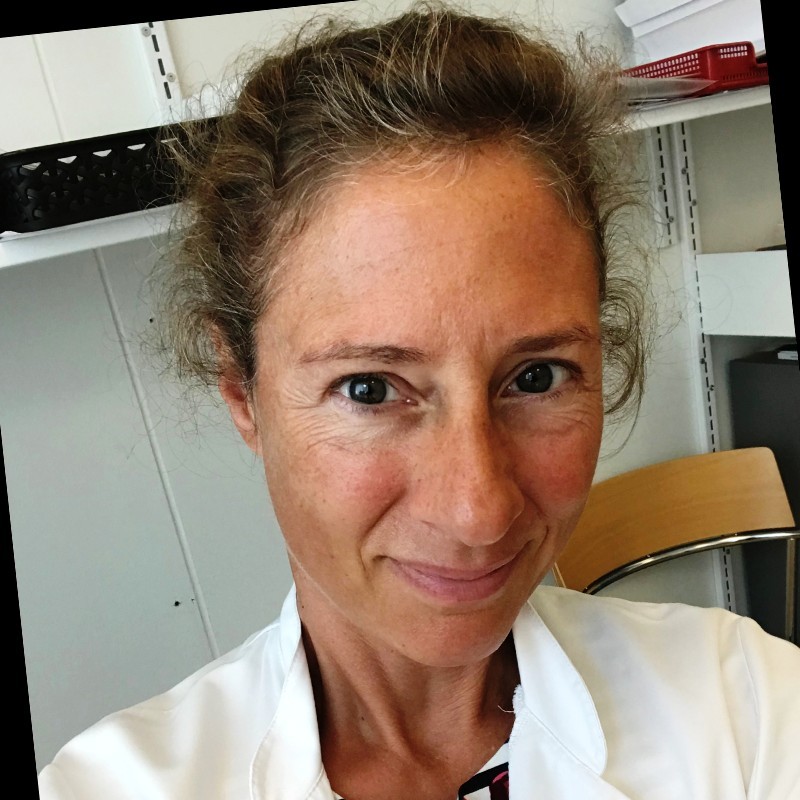 nødvendighed Grand Stillehavsøer Claudia Christina Hilt Kristensen – Ledende overlæge – Aalborg  Universitetshospital | LinkedIn