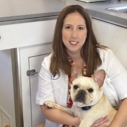 April Geer - Owner - Paws Around Town Mobile Veterinary Hospital | LinkedIn