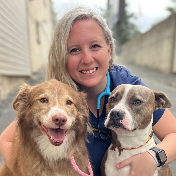 Abby Hurdle - Registered Veterinary Technician - Perry Hall Animal Hospital  | LinkedIn