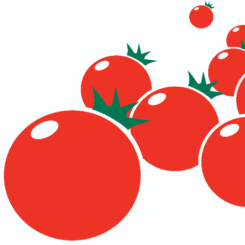 Tomato Plant - Plant and equipment haulage, and lifting activities at TOMATO  PLANT LTD - TOMATO PLANT LIMITED | LinkedIn