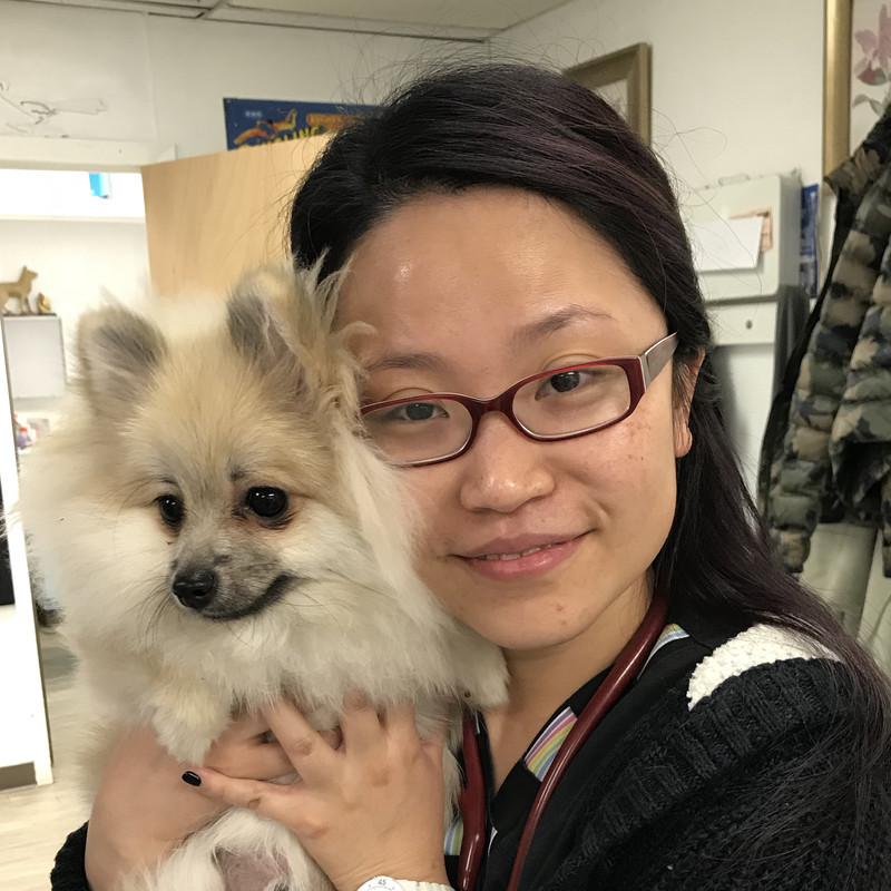 Wenjun Li - Medical Director - South Shore Animal Hospital | LinkedIn