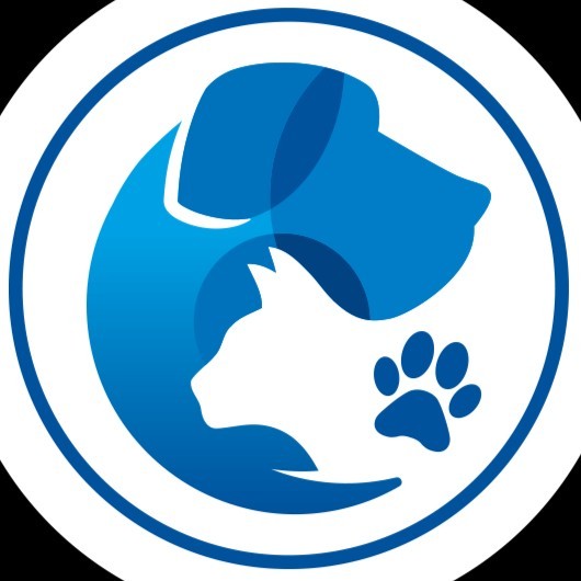 Universal Animal Welfare Society - Pune, Maharashtra, India | Professional  Profile | LinkedIn