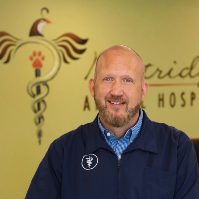 Jeffrey Cartzendafner, DVM - Associate Veterinarian - Partridge Animal  Hospital | LinkedIn