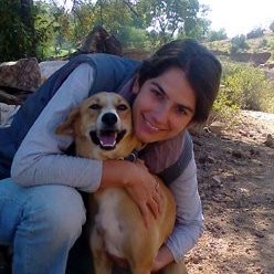 Claire Abrams - Co-Founder and Director - Animal Aid Unlimited | LinkedIn