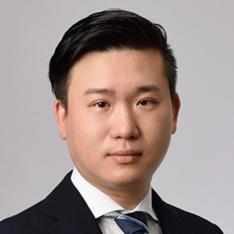 Juzhen Wang - Senior Consultant - DHL Consulting | LinkedIn