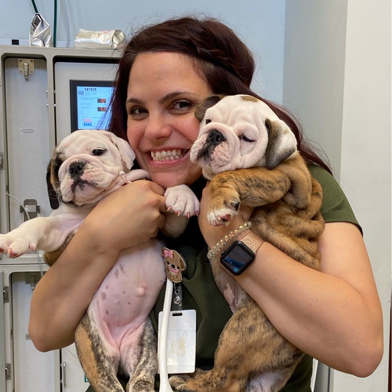 Amelia Christian - Vet tech - Palm Beach Veterinary Specialists | LinkedIn