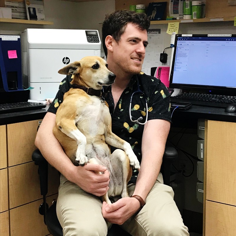 Nolan O'Connor - Associate Veterinarian - Banfield Pet Hospital | LinkedIn