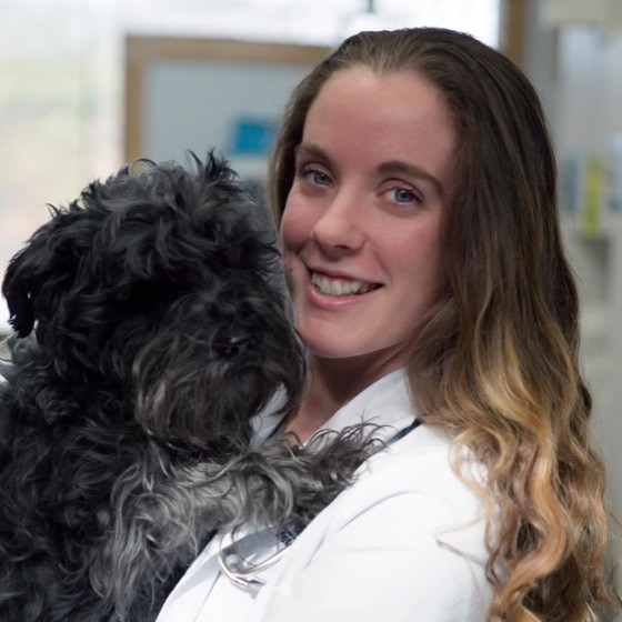 Brittany Chappell - Associate Veterinarian - Banfield Pet Hospital |  LinkedIn
