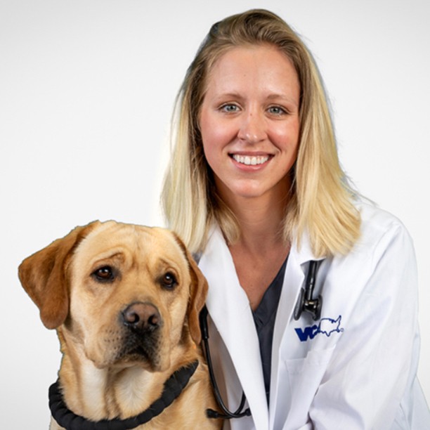 Sierra Ruff - Associate Veterinarian - VCA Animal Hospitals | LinkedIn