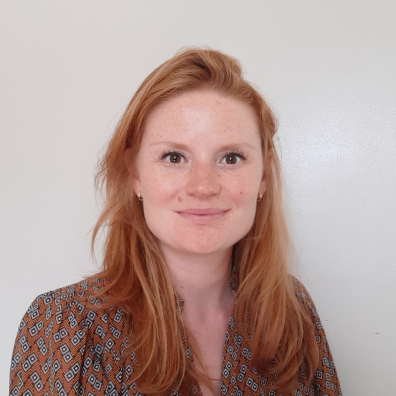 Anna Ver Loren van Themaat - Psycholoog - UvA minds | LinkedIn