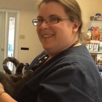 Dana Walck - owner - Harrisburg Area Animal Hospital | LinkedIn