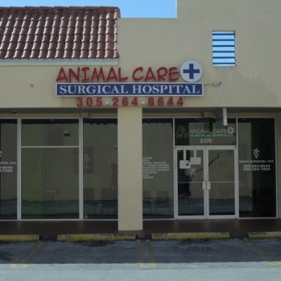 Animal Care and Surgical Hospital - Miami, Florida, United States |  Professional Profile | LinkedIn