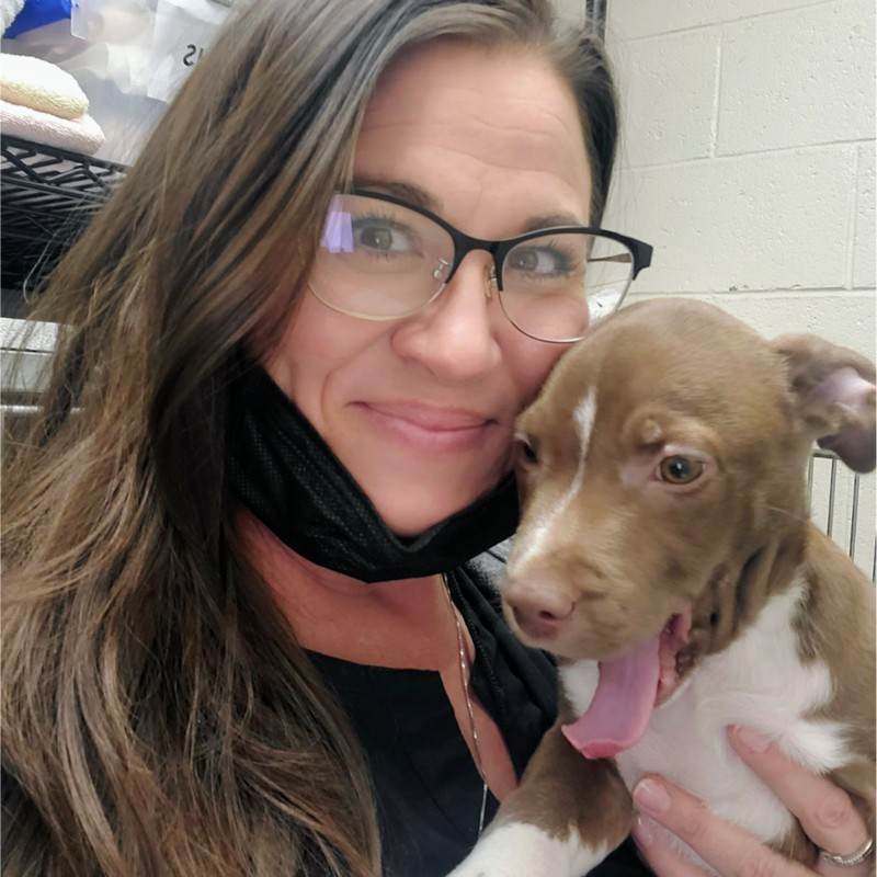Jillian Erwin - Rescue Coordinator - Mount Laurel Animal Hospital | LinkedIn