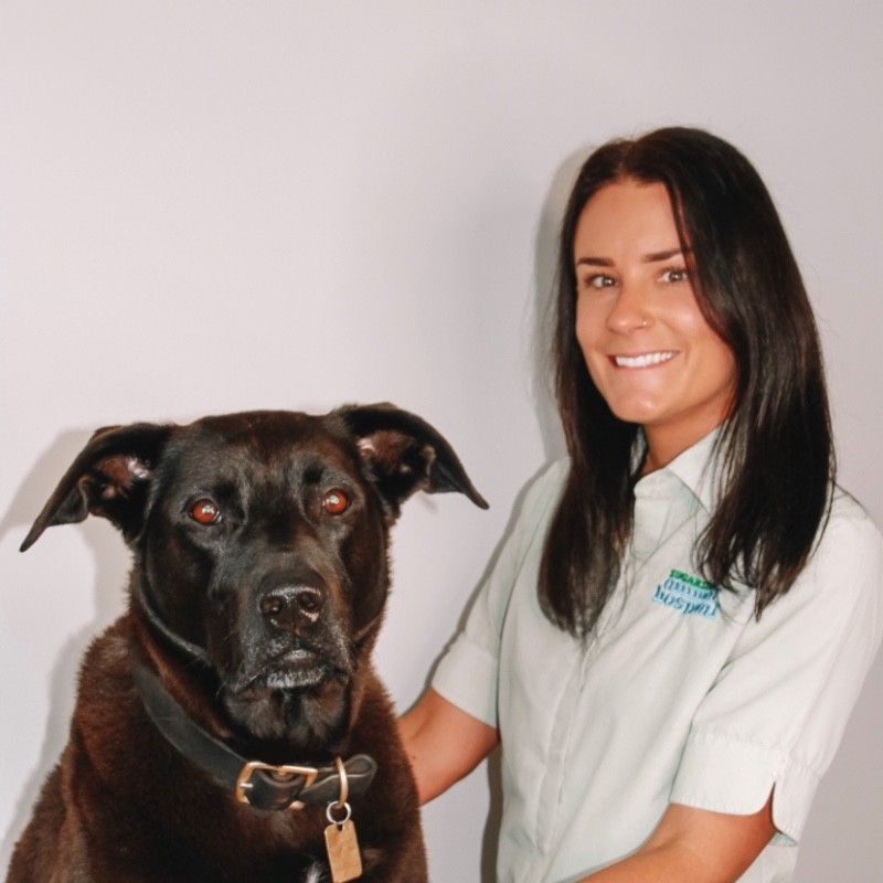 Elle Williams - Practice Manager - Sugarloaf Animal Hospital | LinkedIn