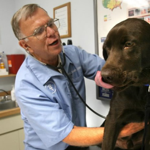 Gary Borgman - Owner - Kissimmee Animal Hospital, Inc. | LinkedIn