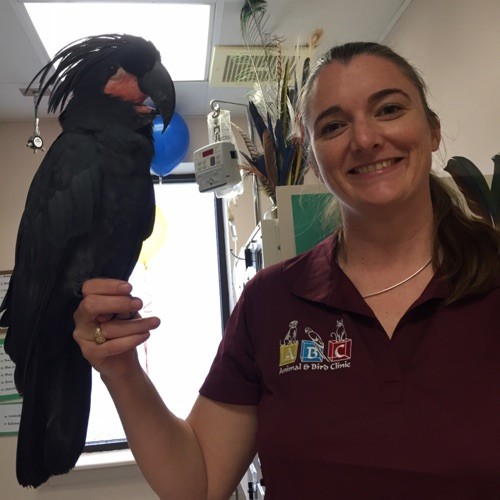 Kim Roset - Veterinarian - ABC Animal & Bird Clinic | LinkedIn