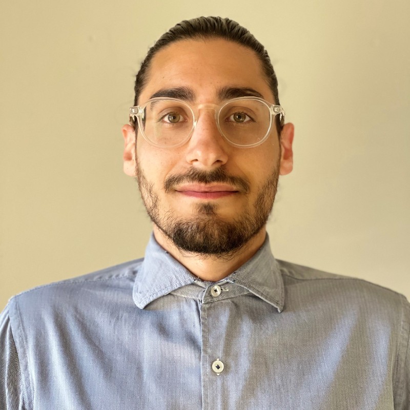 Dario Ranaudo, CPA Auditor | LinkedIn