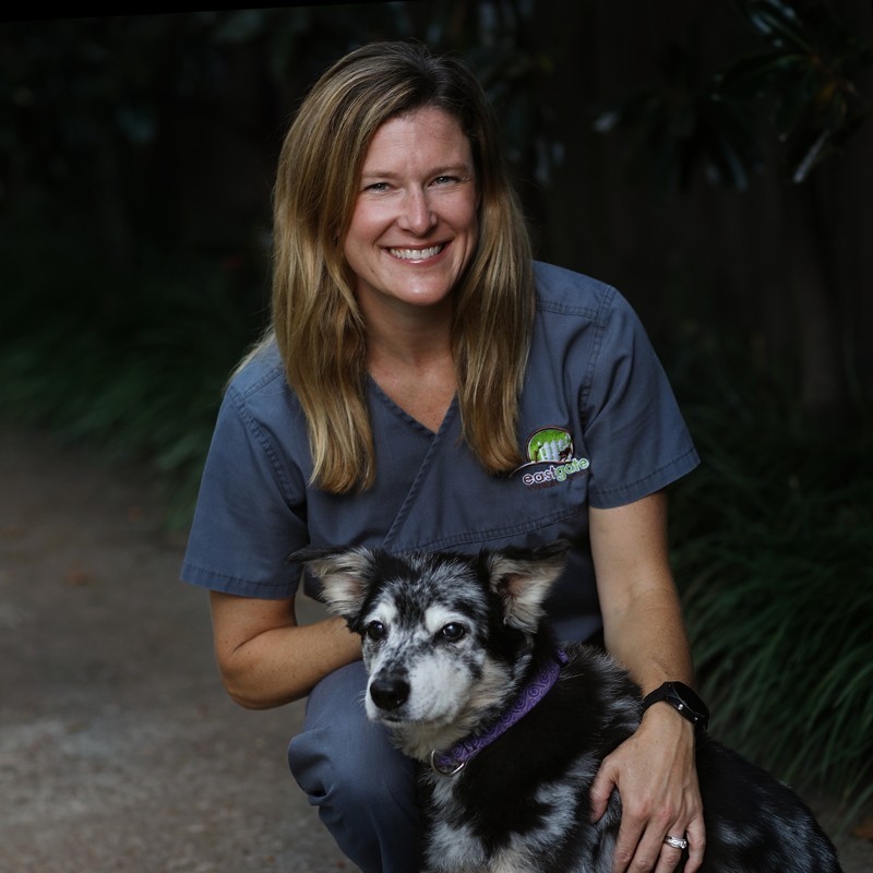 Molly Smith - Associate Veterinarian - Eastgate Animal Clinic | LinkedIn