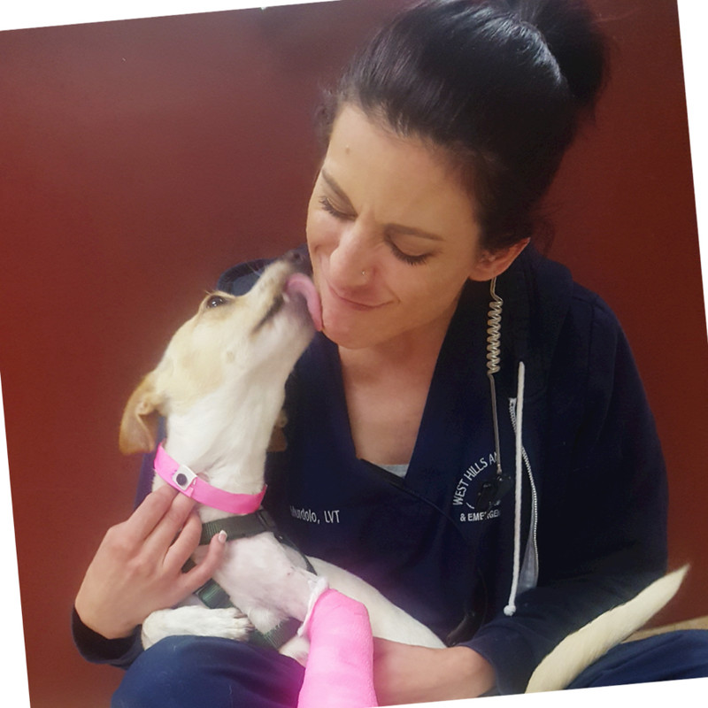 Jessica Murdolo - Veterinary Technician - West Hills Animal Hospital & 24hr  Emergency Veterinary Center | LinkedIn